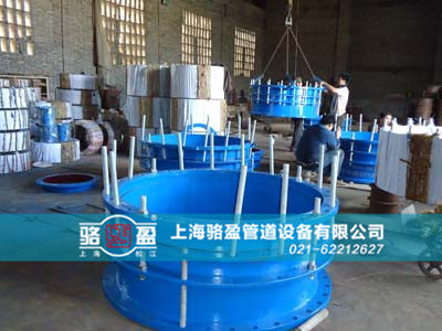 VW(wng)sa(chn)F(xin)